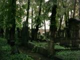 Senerfelderplatz Jewish Church burial ground, Berlin